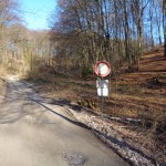 zufahrt um grünen walde