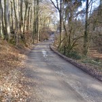 private zufahrt zum grünen walde